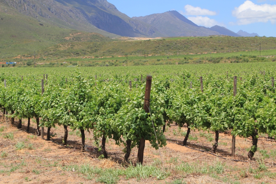 6 Bedroom Property for Sale in Ashton Western Cape